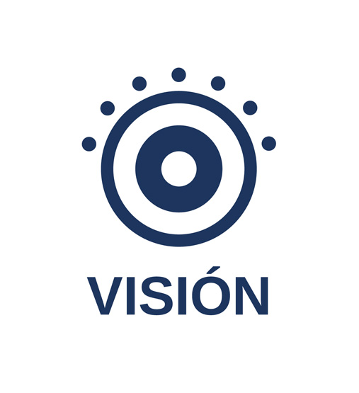 Vision